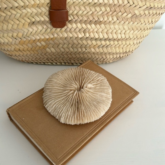 Mushroom Coral Beachy Decor - Picture 5 of 7